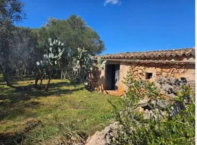 Urban plot of land - Costitx, plot surface 14898 m2, distance to the sea 20 km — photo 3