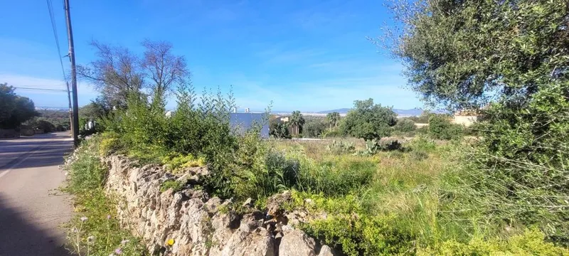 Land in Marratxí, Province of Balearic Islands — photo 2