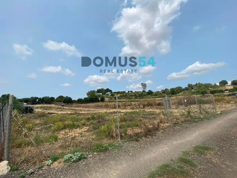 Rustic land not buildable in Maria de la Salut — photo 9