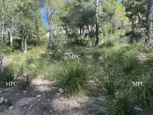 Developable Plot — photo 2
