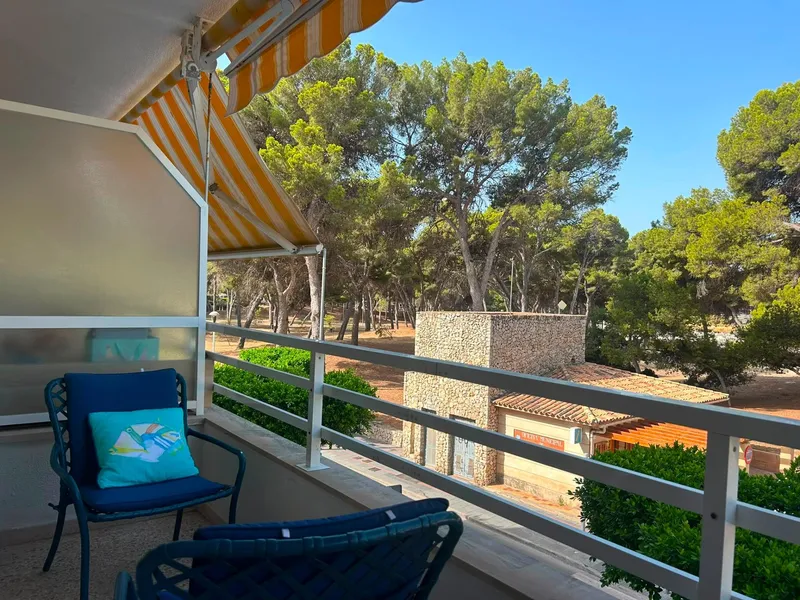 Studio with sea views in Santa Ponça. Temporary rental for a maximum of 11 months. — photo 1