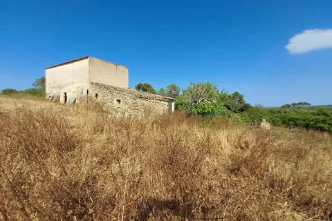 Land in Maria de la Salut, Mallorca — photo 11