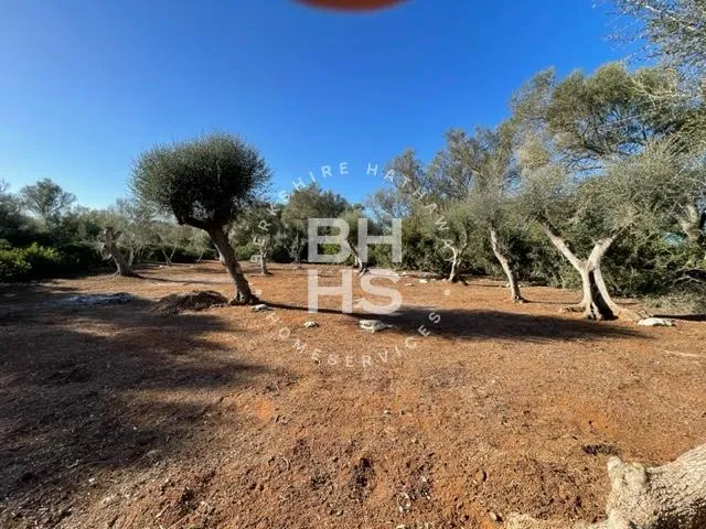 Country plot for sale in Felanitx — photo 5