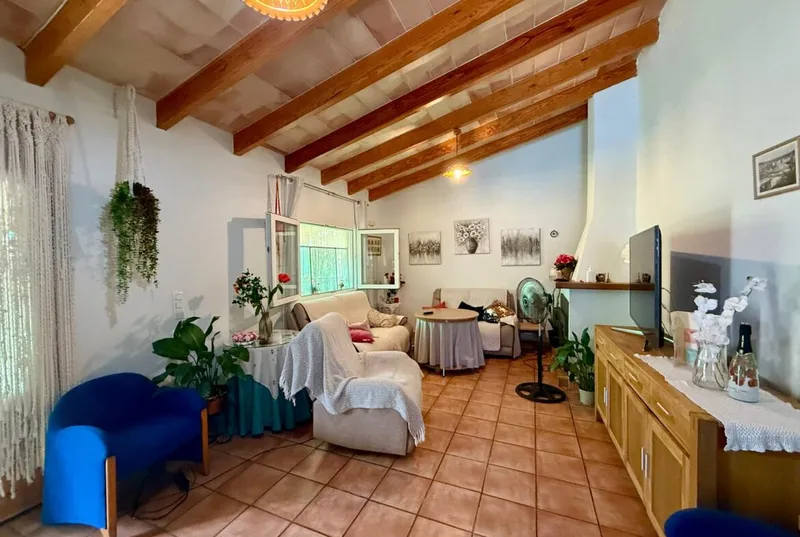 Finca with dwelling, gesa electricity and water in Manacor — photo 9