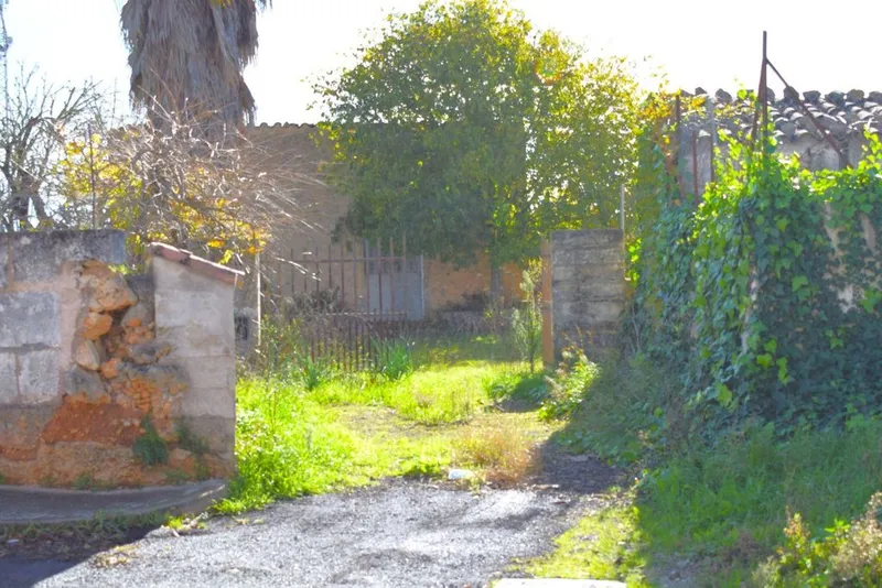 Land in Llubí, Province of Balearic Islands — photo 4