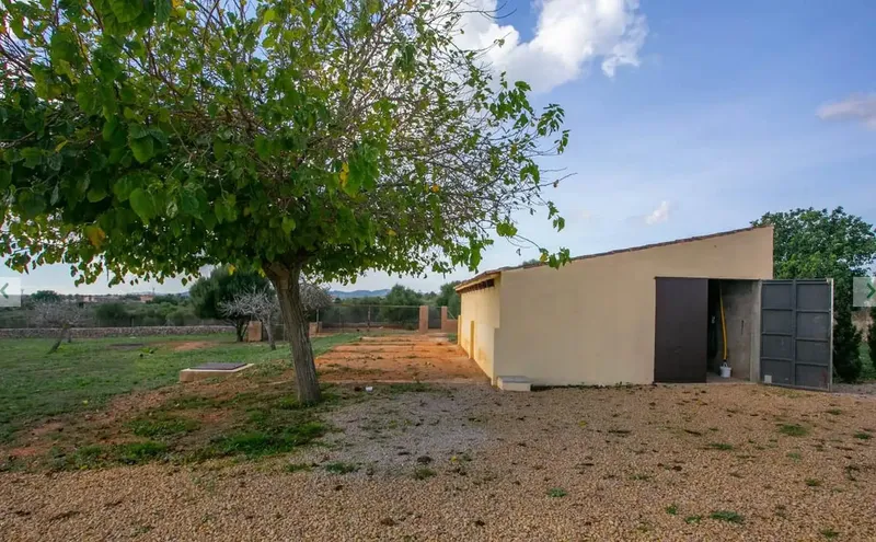This Mediterranean finca is situated on a plot of 14,200 m² in a quiet area of Porto Cristo. — photo 5