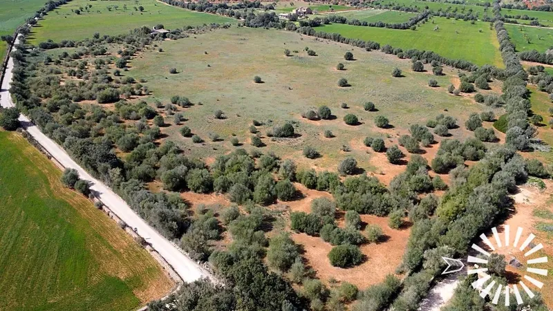 Country Estate for sale in Campos of 62000 m2 — photo 6