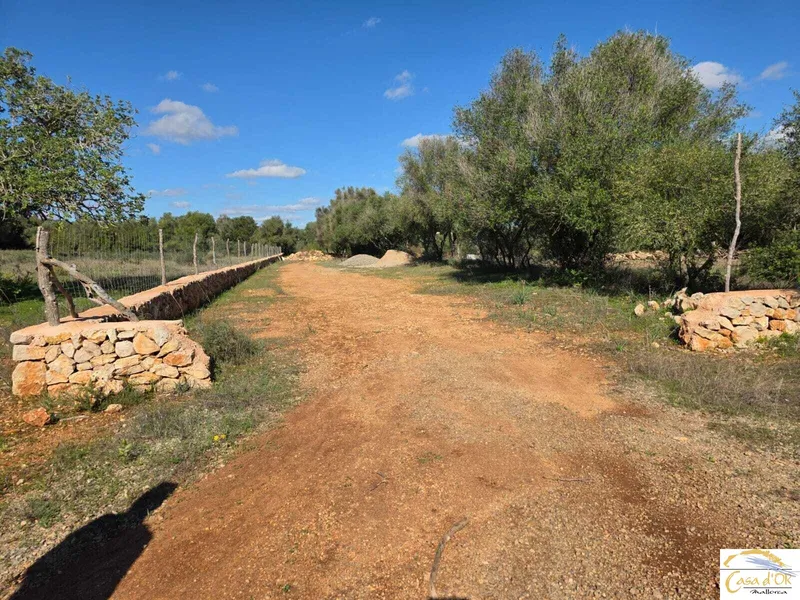 Beautiful building plot with panoramic views and innovative finca project near Porto Cristo — photo 2
