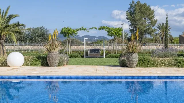 Country estate with vineyard for sale between Felanitx and Porreres, Mallorca — photo 5