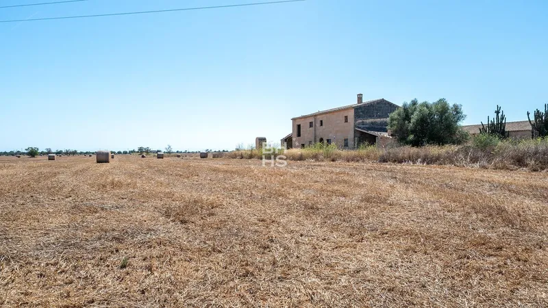 Rustic Finca for sale in Campos — photo 11