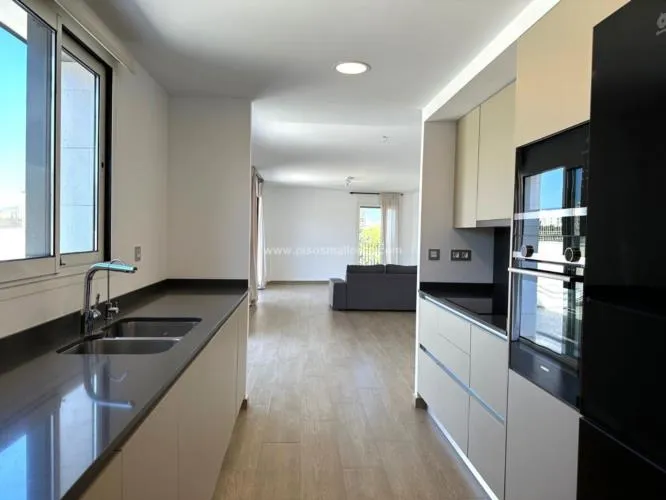 Penthouse. Palma de Mallorca, S'Escorxador Area — photo 9