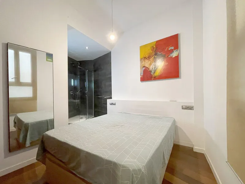 Apartment with private patio, one bedroom, New Courthouse area, Palma Old Town — photo 10