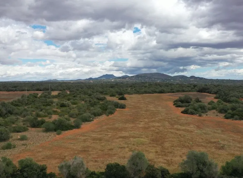 Large plot in a quiet area a few minutes from Santanyi — photo 3
