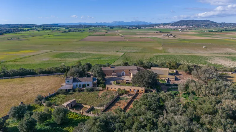 Fantastic finca in Vilafranca de Bonany with project and building license, large plot for investors — photo 3