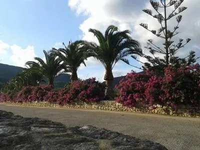 Prime location near Porto Cristo — beautiful finca for sale — photo 5