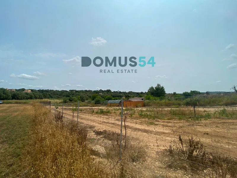 Rustic land not buildable in Maria de la Salut — photo 10