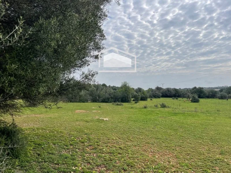 Rustic finca of 26,135 m² with housing project and pool near Ses Salines — photo 1