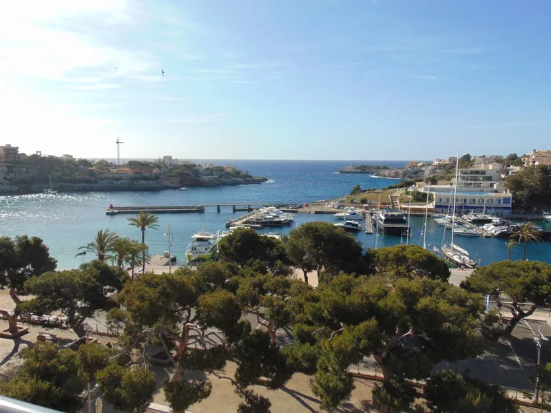 Building plot with approved finca project in Sa Cruta near Porto Cristo — photo 10