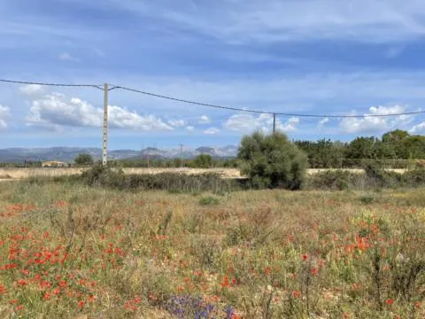 Plot — photo 11