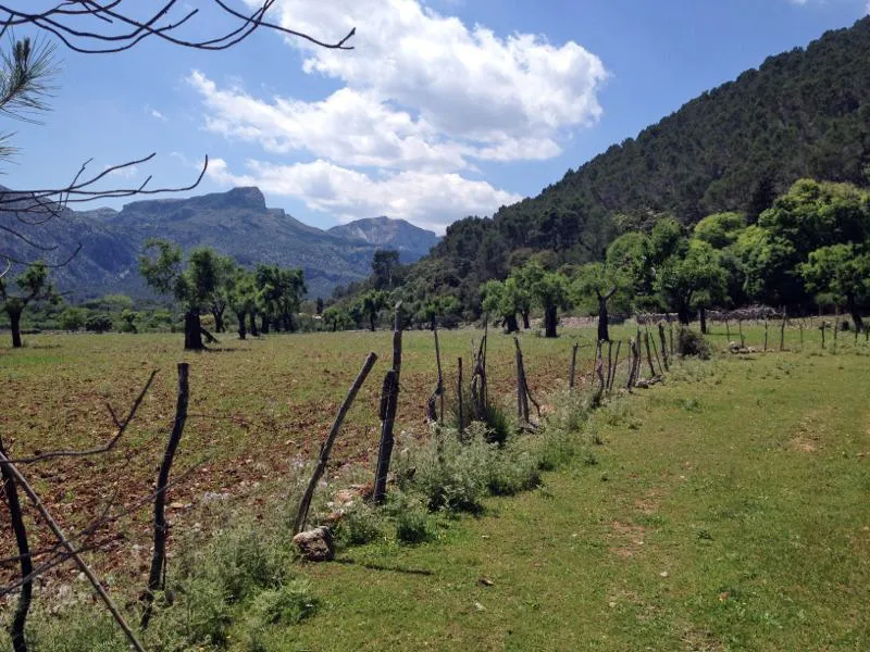 Rustic Finca for sale in Pollença, Mallorca, Baleares, Mallorca — photo 2