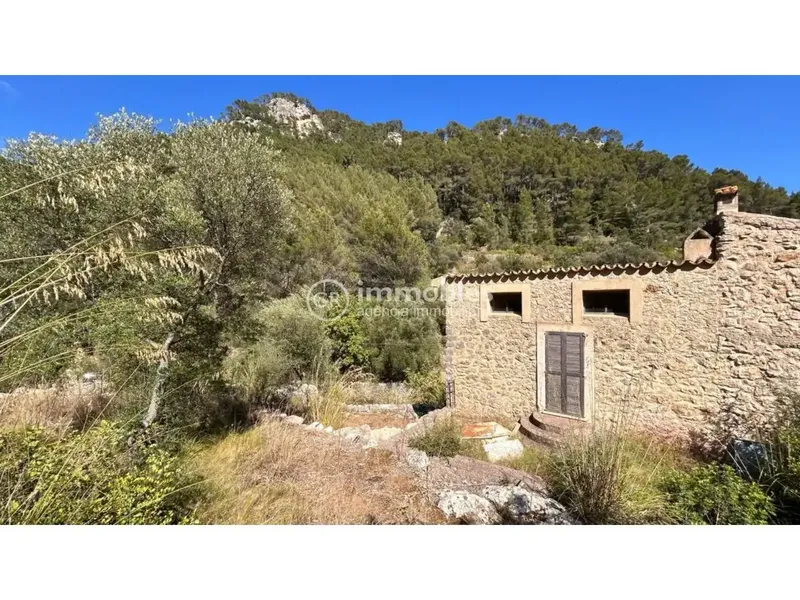Rustic finca in Alaró of 22,600 m² in ANEI area — photo 6