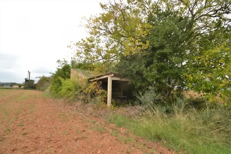 Plot of 15300 square meters with tool shed to be renovated — photo 5