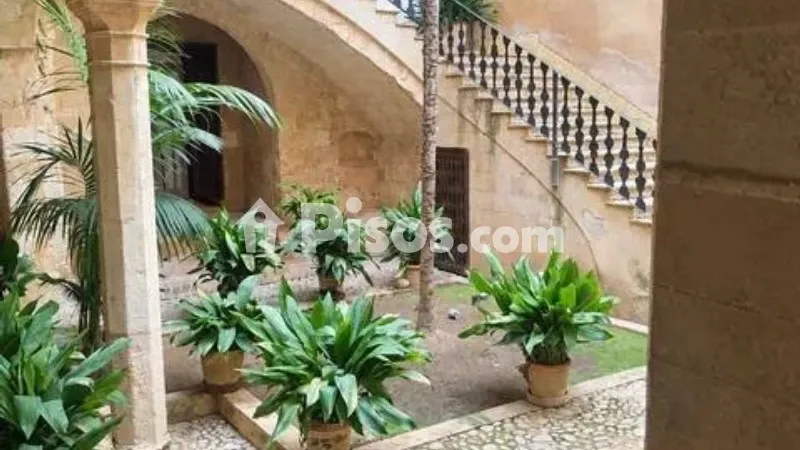 Apartment in Cort — photo 2