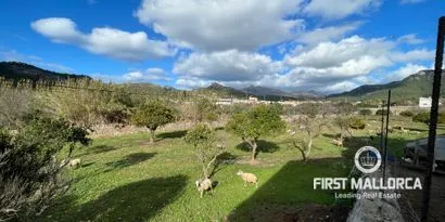 Country estate for renovation between the village and the port of Andratx — photo 12