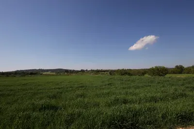 Building land in Porreres — photo 1