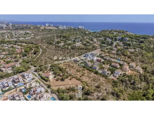 Attention developers! Urban plot with project — photo 1