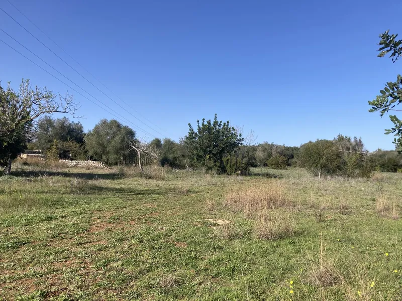 Beautiful piece of land with valid building license in Pollensa countryside — photo 2