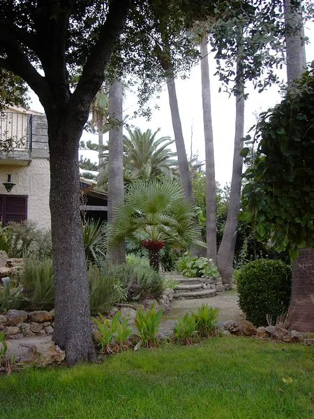 Country house near Inca, Puig Santa Magdalena — photo 9