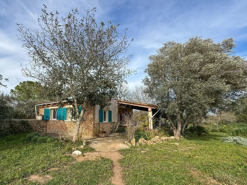 Rustic plot with existing construction near Santa Margalida. Without occupancy certificate — photo 6