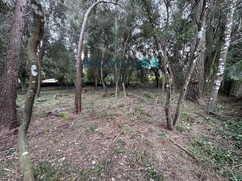 Urban plot in Son Toni Sa Pobla — photo 6