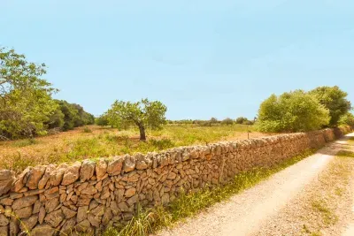 Building land in Cala de Mallorca — photo 1