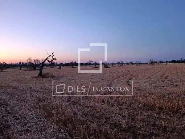 19,544m² plot with 19,544m² garden for sale in Campos — photo 2
