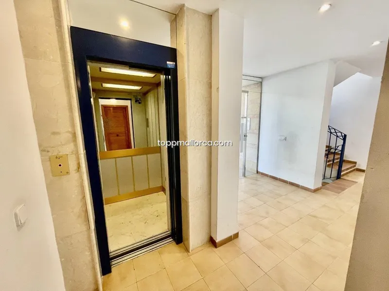 Apartment in Cala Mayor — photo 11