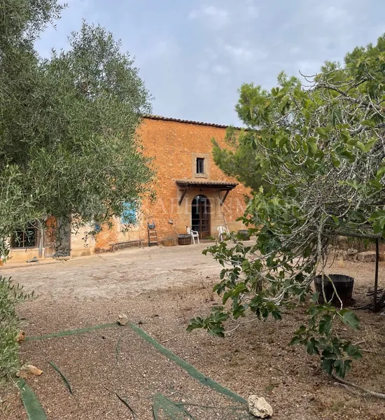 Large Country House near Es Trenc — photo 9