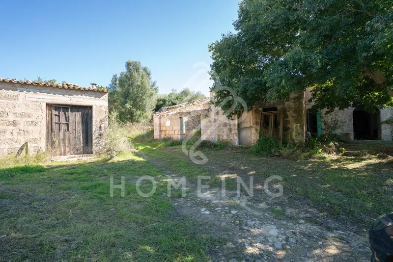 Rustic estate of 252,000 m2 from 1800, with house to renovate. — photo 9