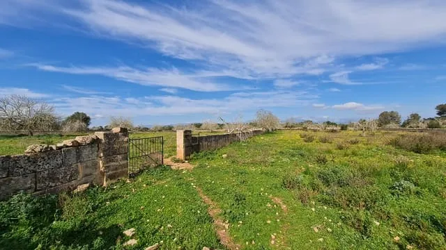 Finca/Country House for sale in Algaida — photo 5
