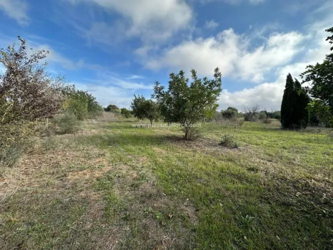 Plot in Santa Maria, Son Llaut Industrial Area — photo 6