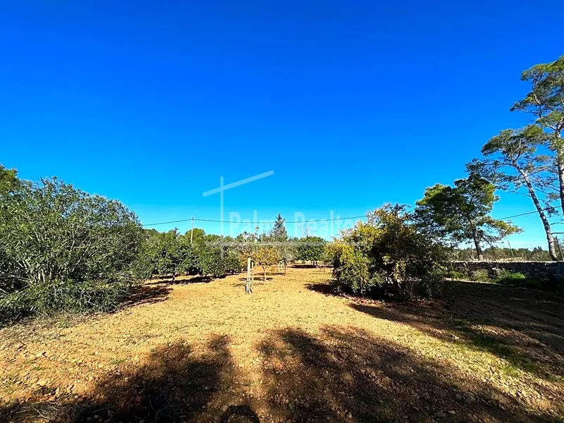 Country Estate for sale in Algaida of 16229 m2 — photo 8