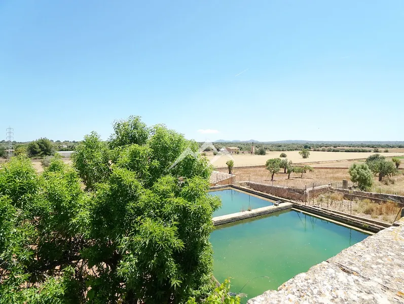 140,000 m2 Estate in Palma — photo 9