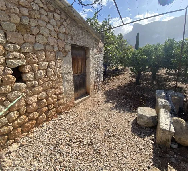Orchard on the outskirts of Sóller — photo 1