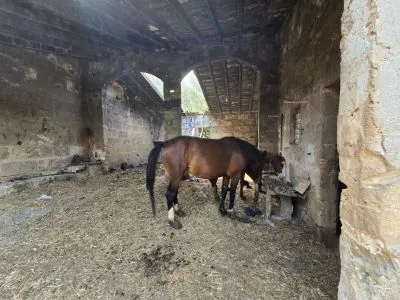 Rustic property - Palma de Mallorca (Son Ferriol - Sant Jordi), Built Surface 400m², Plot Surface... — photo 10