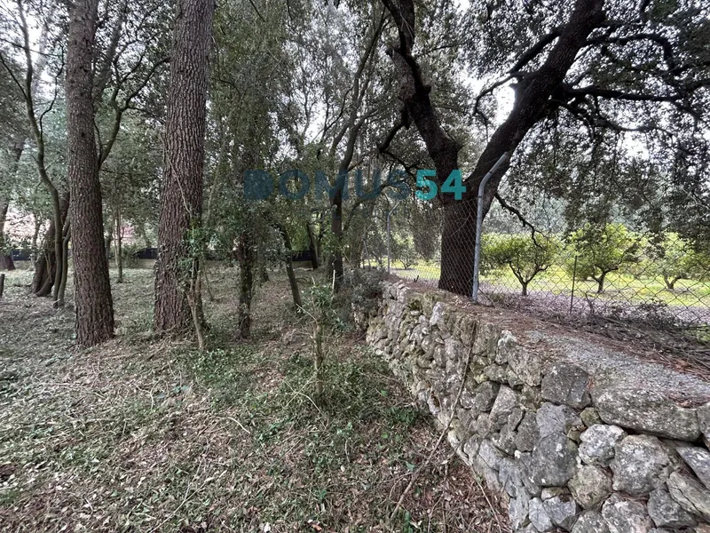Two plots with planning permission in Son Toni Sa Pobla — photo 10