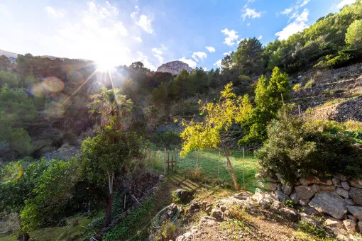 Deià, large rustic estate in the mountains a few minutes from Deià — photo 11