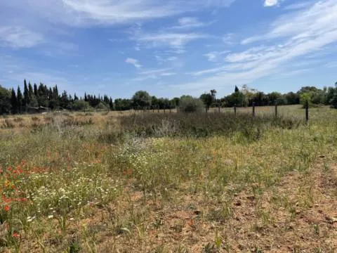 Plot — photo 10