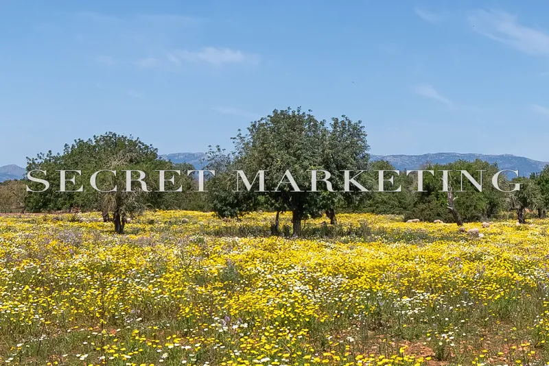 Finca in Campos - Exclusive new-build country house in the south of Mallorca — photo 1