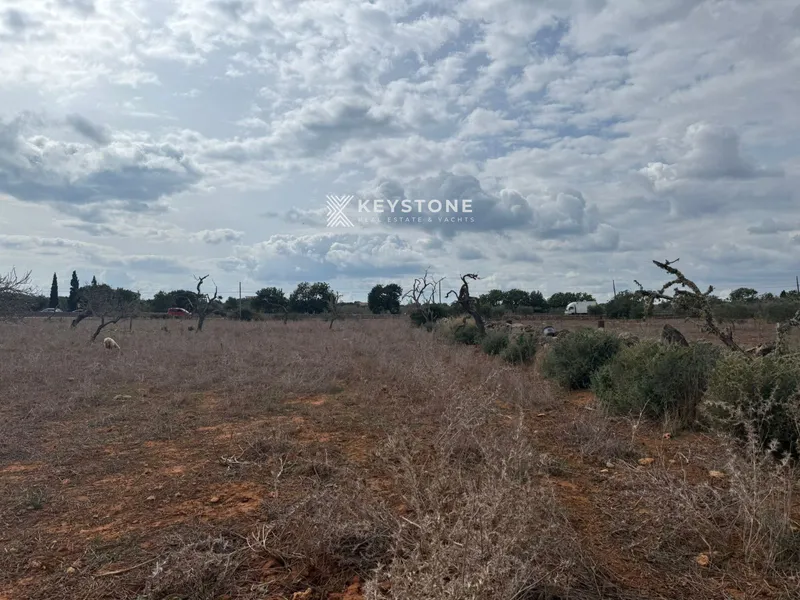 Plot — photo 6